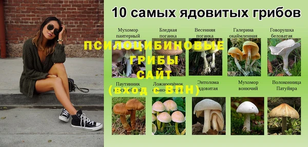 эйфоретик Алексеевка