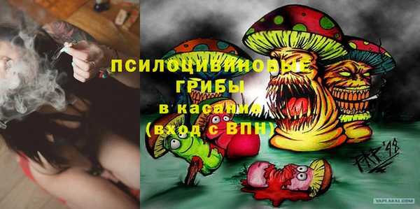 a pvp Алзамай