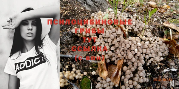 a pvp Алзамай