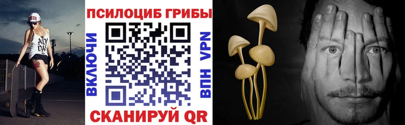 Псилоцибиновые грибы Magic Shrooms  Гаджиево 
