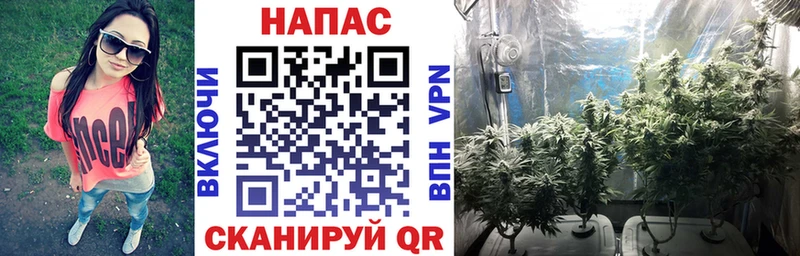 Каннабис гибрид  даркнет сайт  Гаджиево 